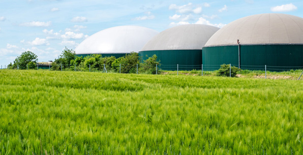 img-agriculture-01