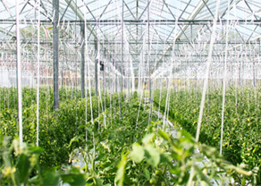 img-agriculture-02