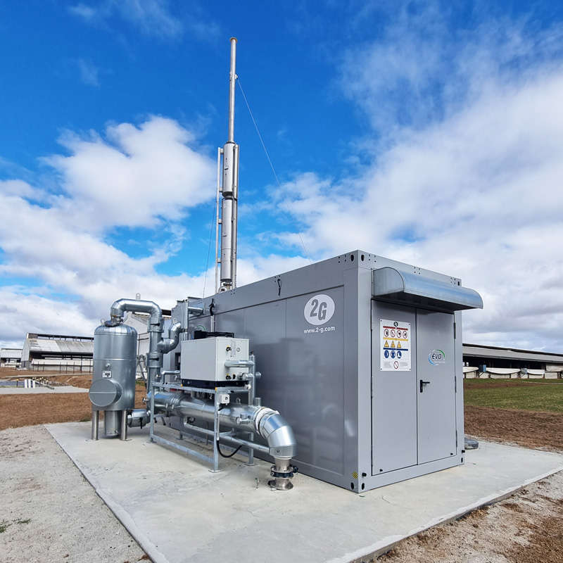 Renewables in Action: Visit Kia Ora Piggery During the 2025 Renewables in Ag Expo Featured Image