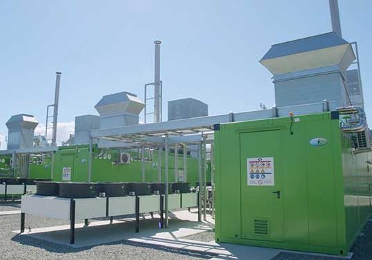 Biogas-cogeneration